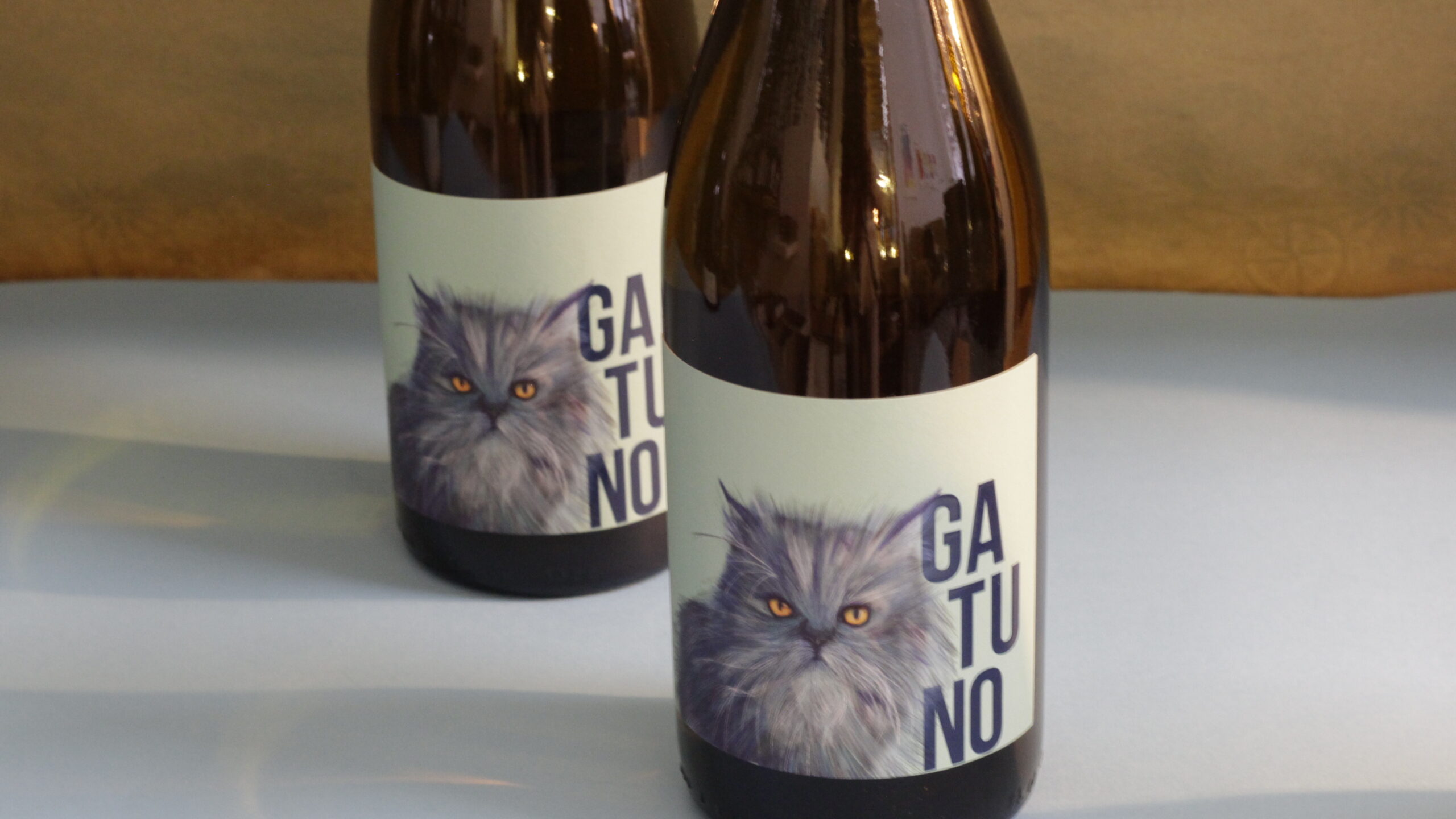 _MG_6335 Gatuno Blanco